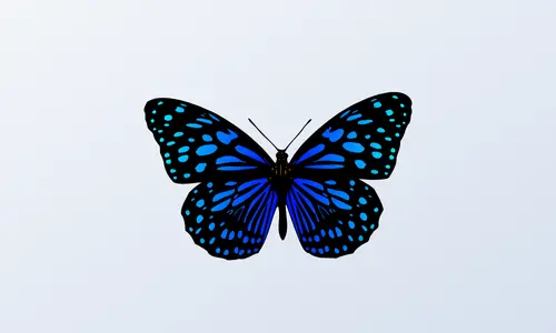 New Logo 500x300