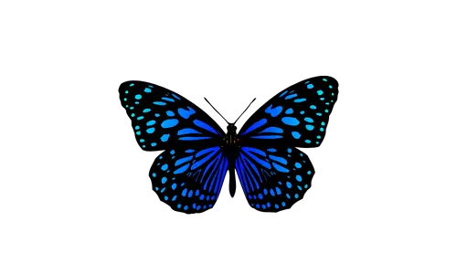 New Logo 500x300 Transparent